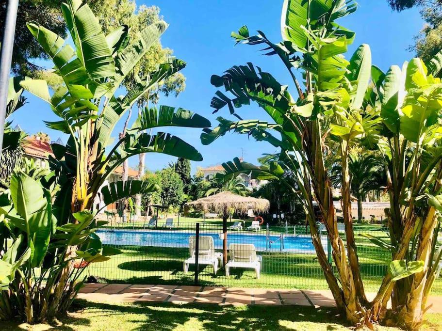 Puerto Banus Eddie Suite Marbella Bagian luar foto